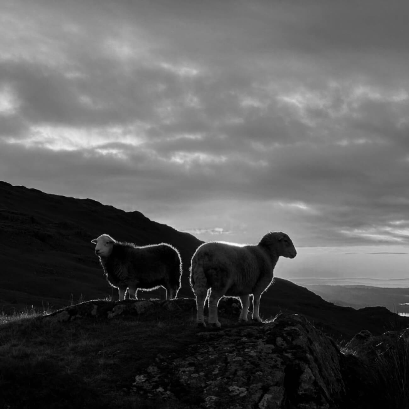 67fcfbab648b3-Walking the Lakes with Steve Watts (4)@2x